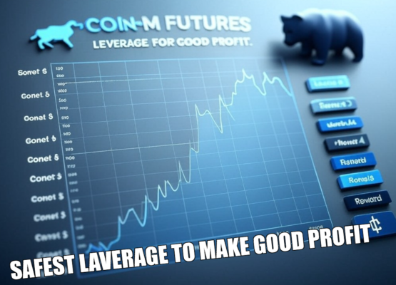 What is the Safest Leverage to Make Good Profit